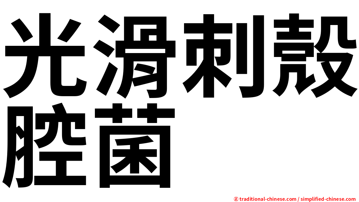 光滑刺殼腔菌