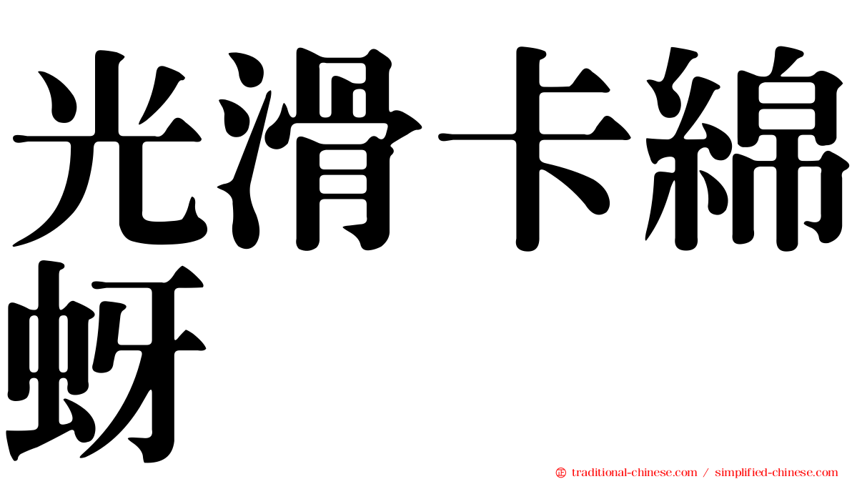 光滑卡綿蚜