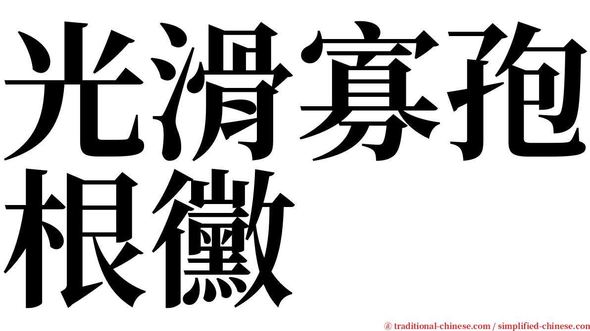 光滑寡孢根黴 serif font