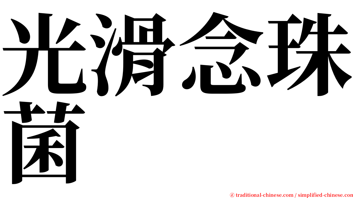 光滑念珠菌 serif font