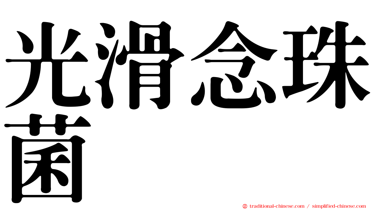 光滑念珠菌