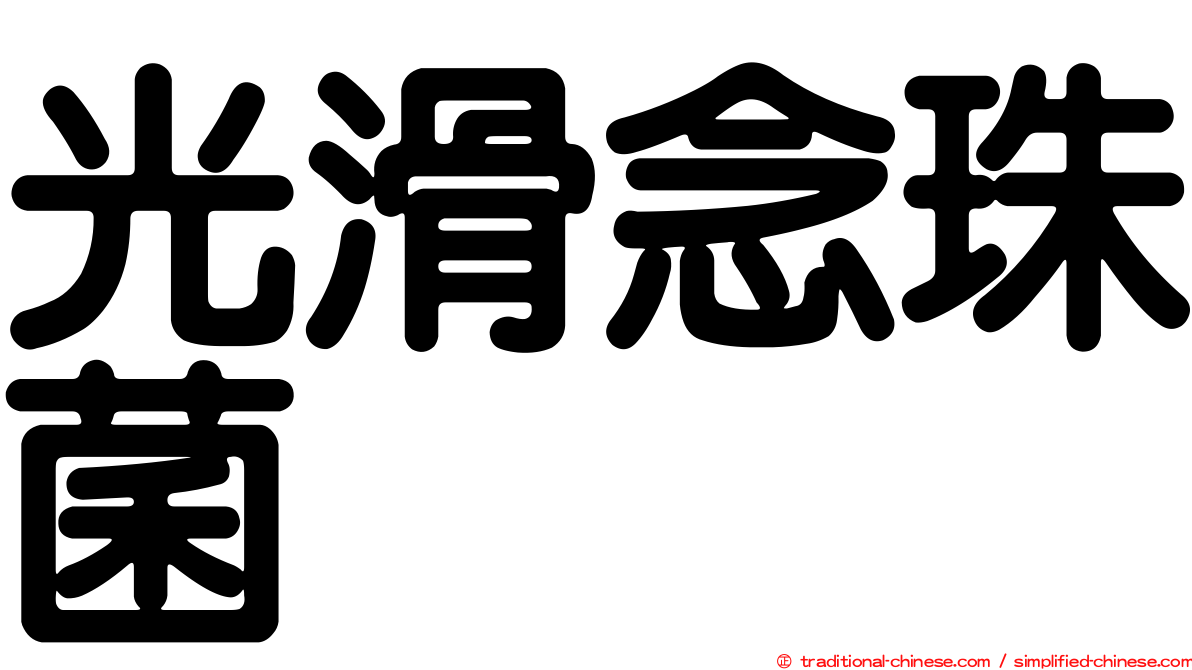 光滑念珠菌