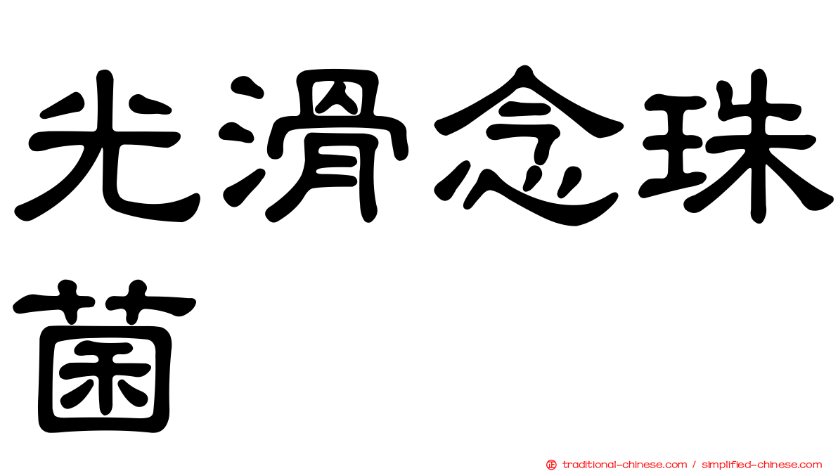 光滑念珠菌