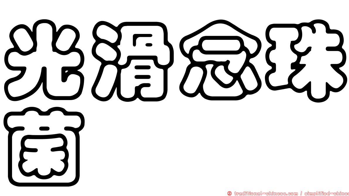 光滑念珠菌