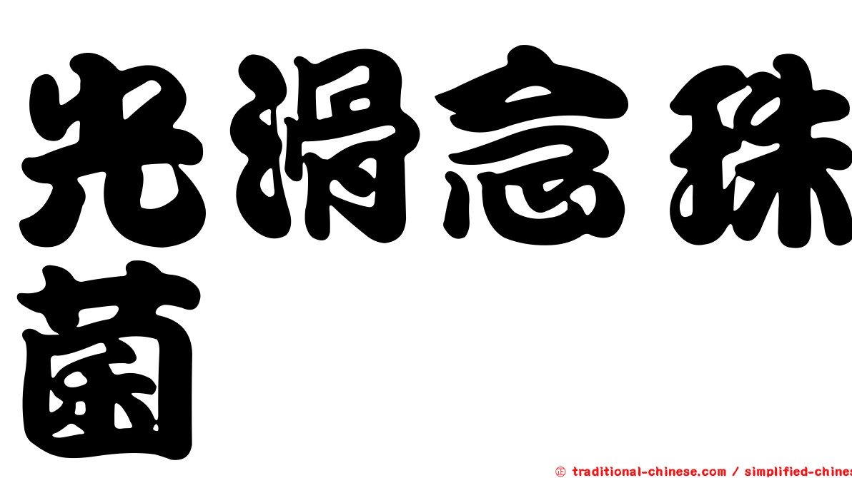 光滑念珠菌