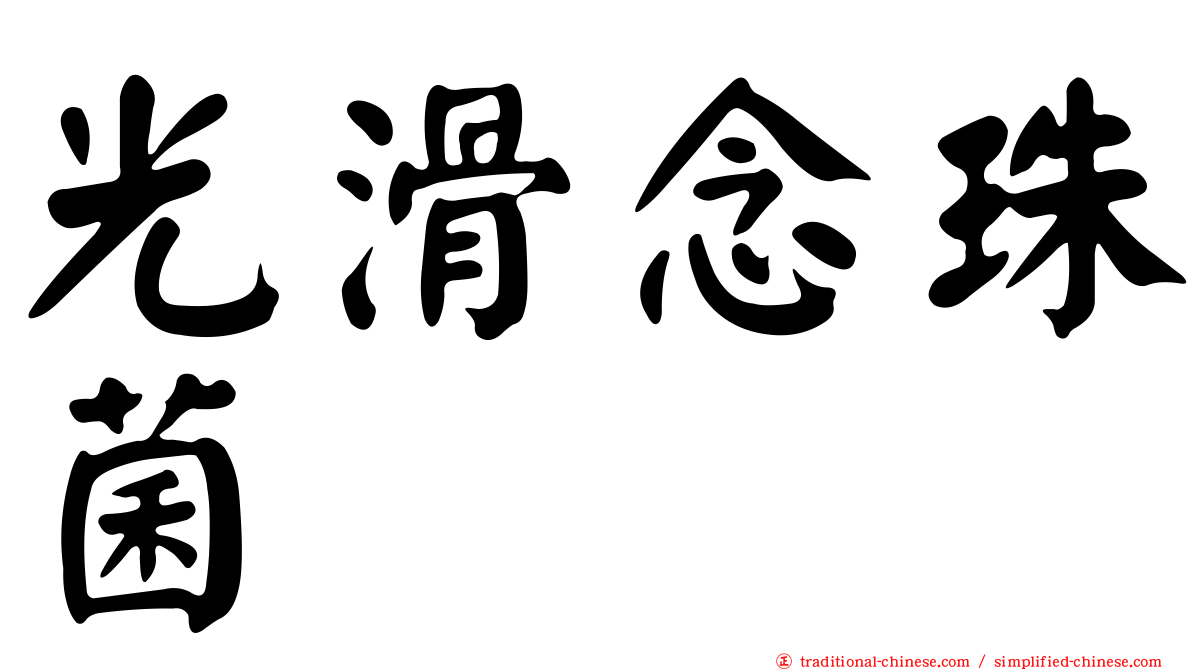 光滑念珠菌