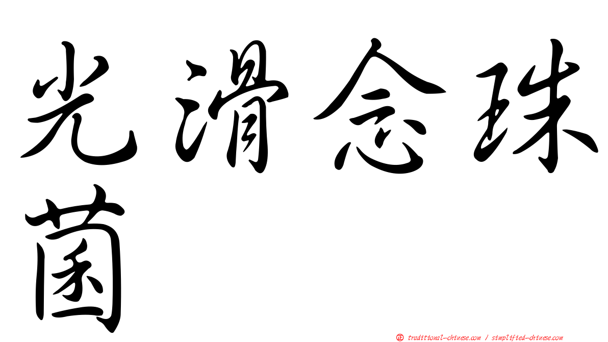 光滑念珠菌