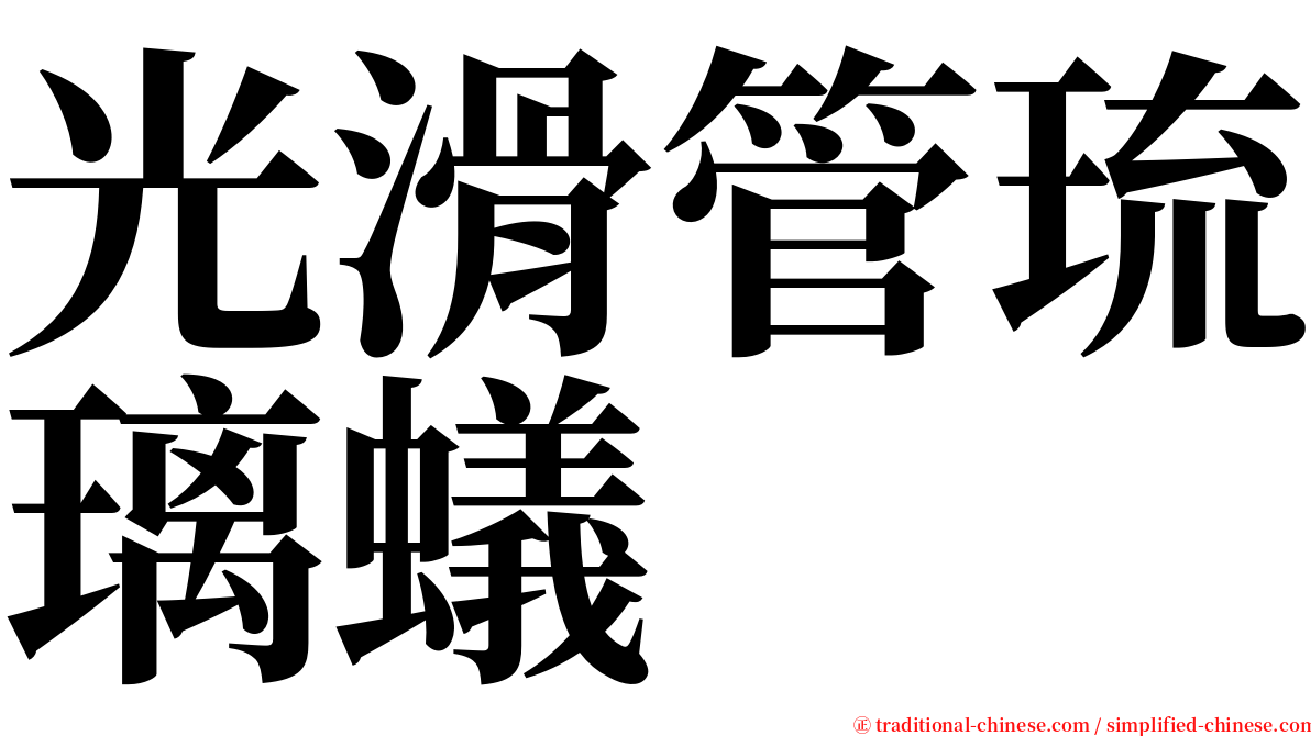 光滑管琉璃蟻 serif font