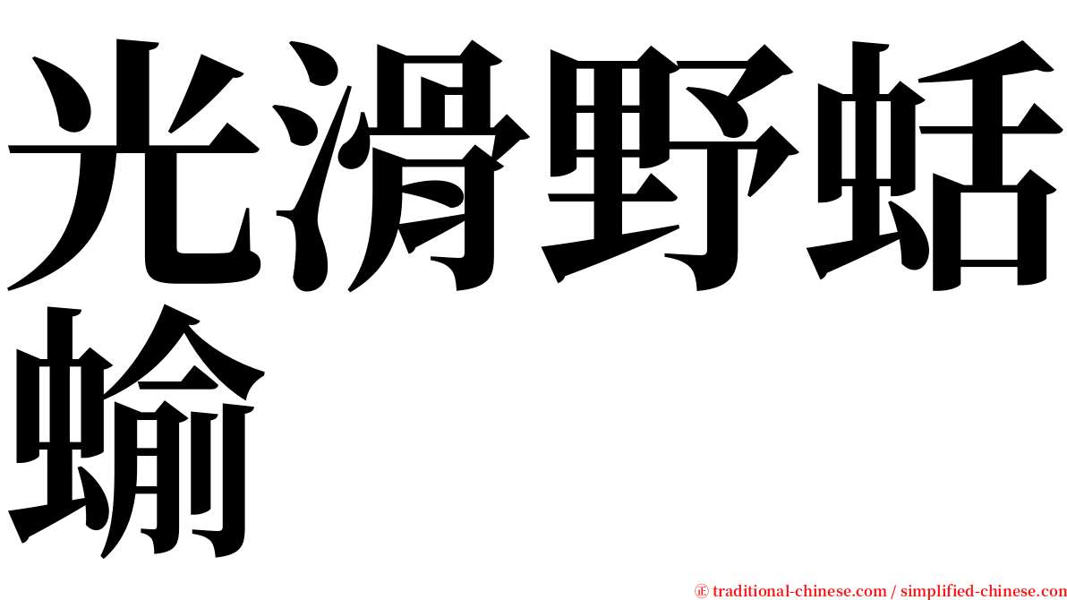 光滑野蛞蝓 serif font