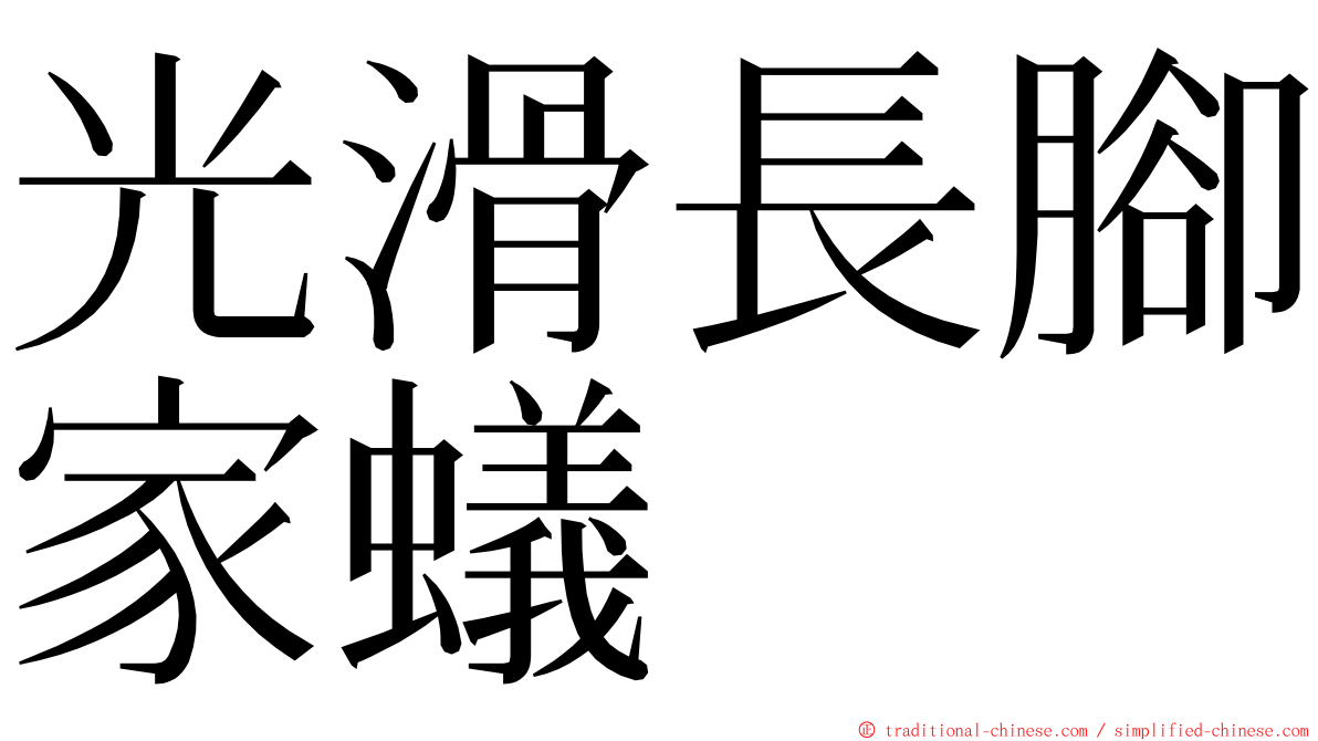 光滑長腳家蟻 ming font