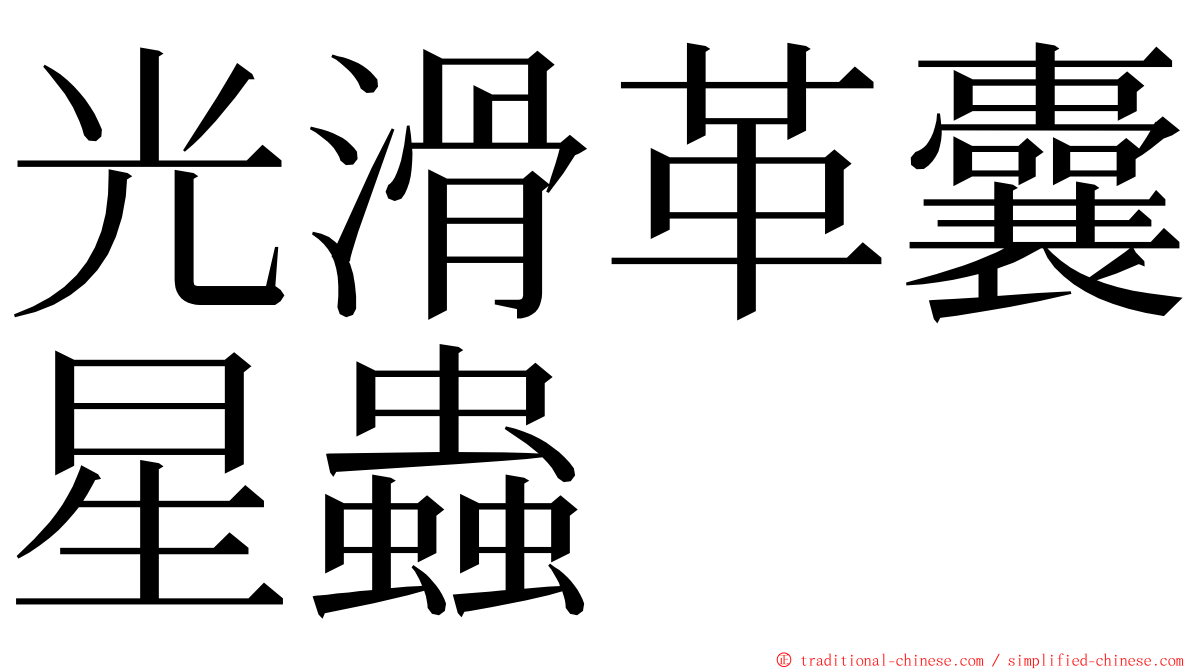 光滑革囊星蟲 ming font