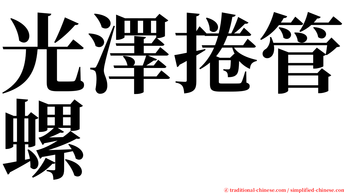 光澤捲管螺 serif font