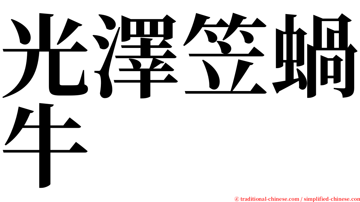 光澤笠蝸牛 serif font