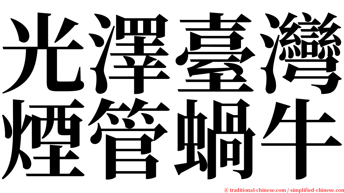 光澤臺灣煙管蝸牛 serif font