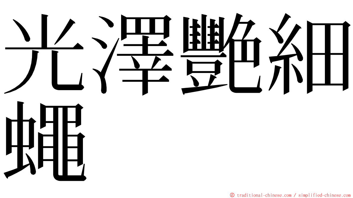 光澤艷細蠅 ming font