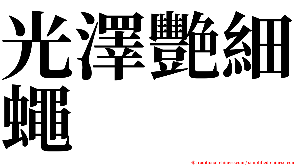 光澤艷細蠅 serif font