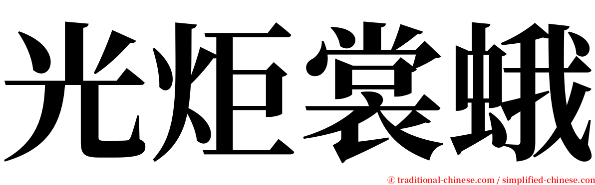 光炬裳蛾 serif font