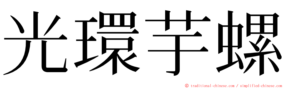 光環芋螺 ming font