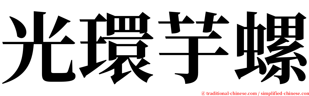 光環芋螺 serif font