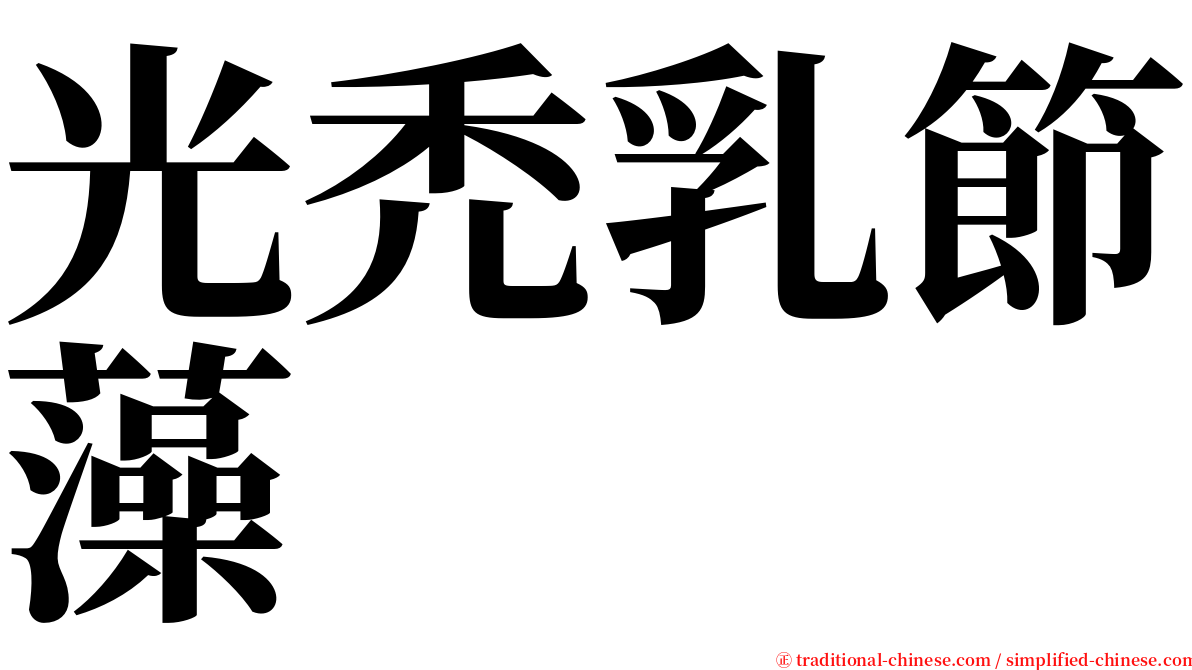 光禿乳節藻 serif font