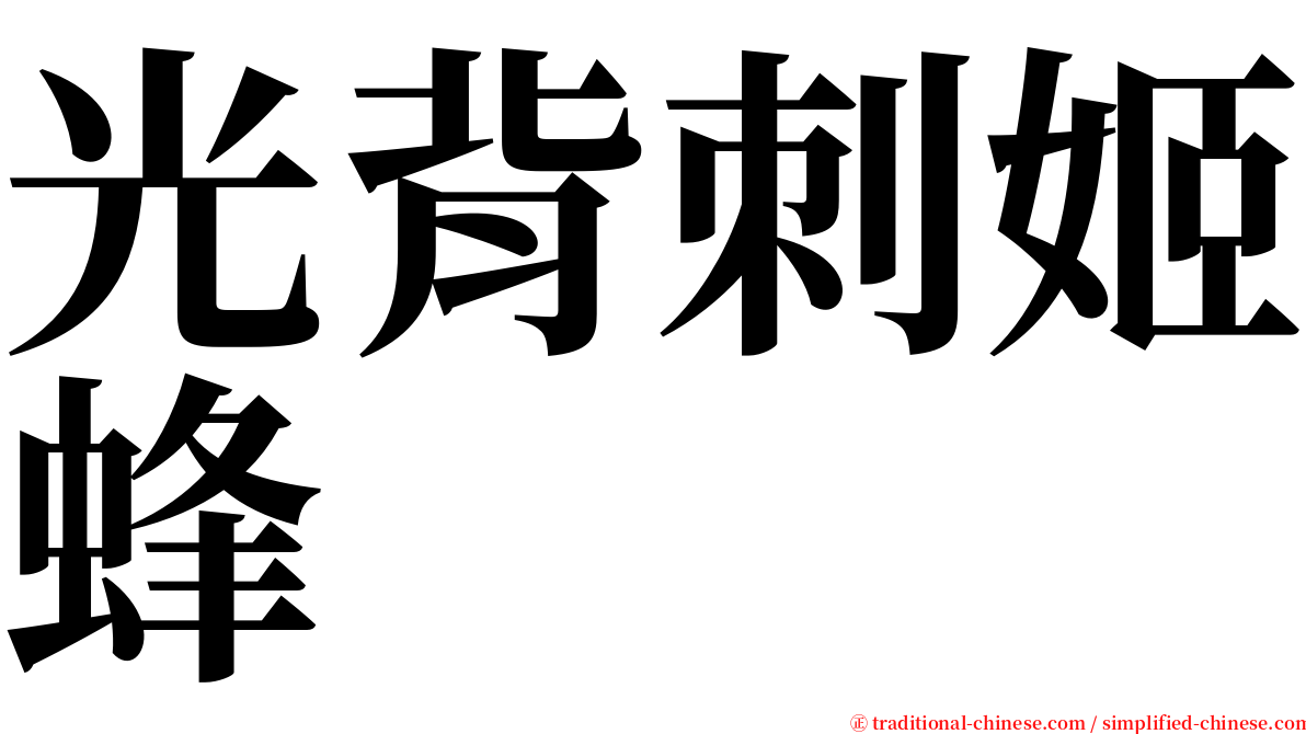 光背刺姬蜂 serif font