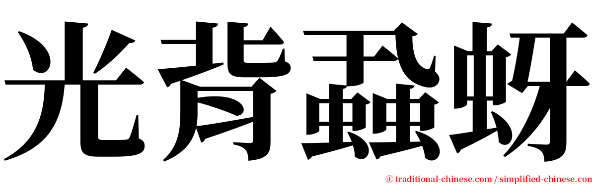 光背蝨蚜 serif font