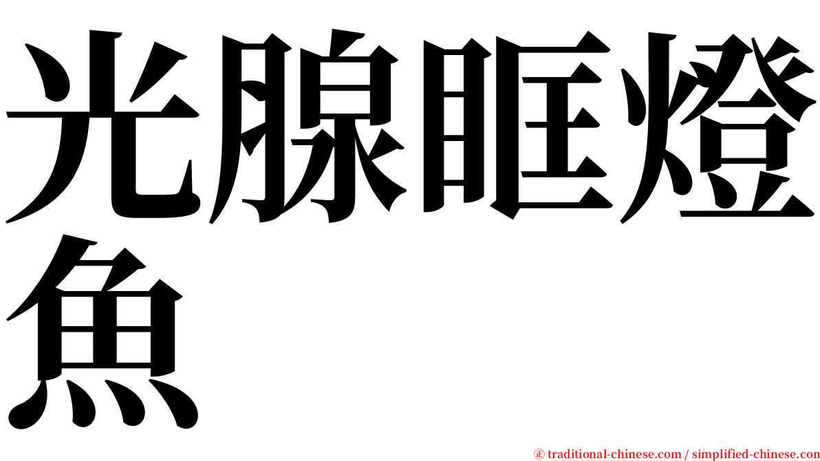 光腺眶燈魚 serif font