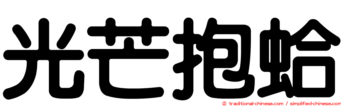 光芒抱蛤