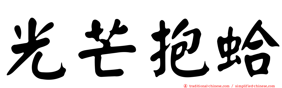 光芒抱蛤
