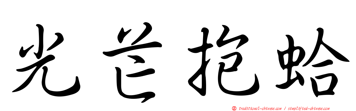 光芒抱蛤