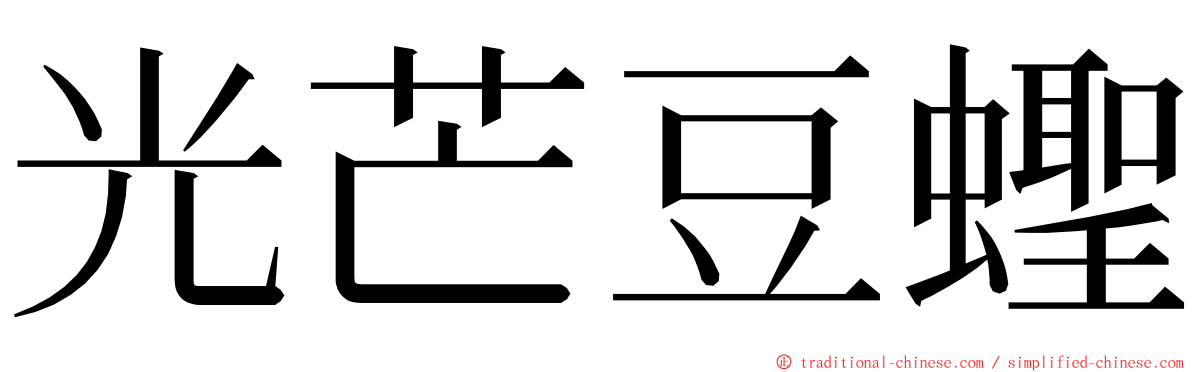 光芒豆蟶 ming font