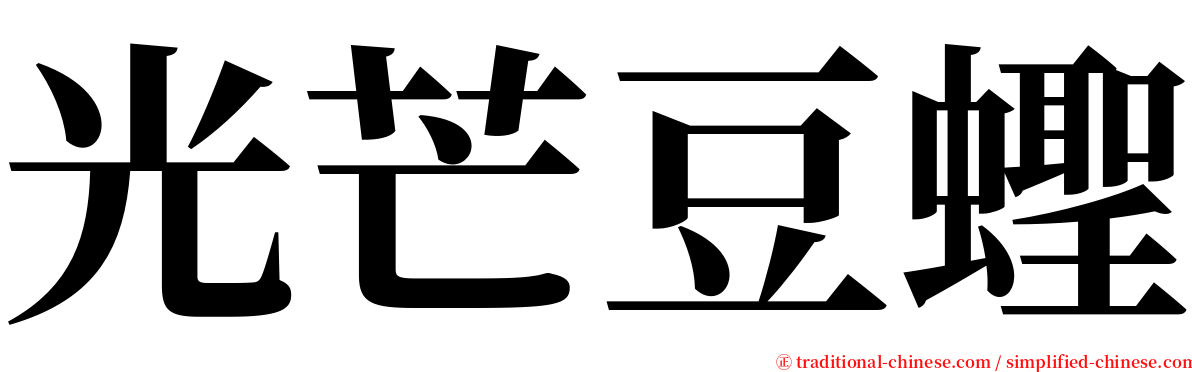 光芒豆蟶 serif font