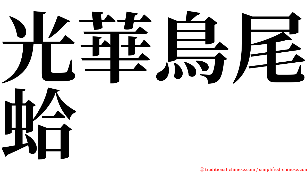 光華鳥尾蛤 serif font