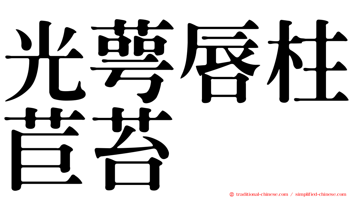 光萼唇柱苣苔
