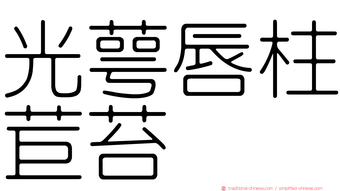 光萼唇柱苣苔
