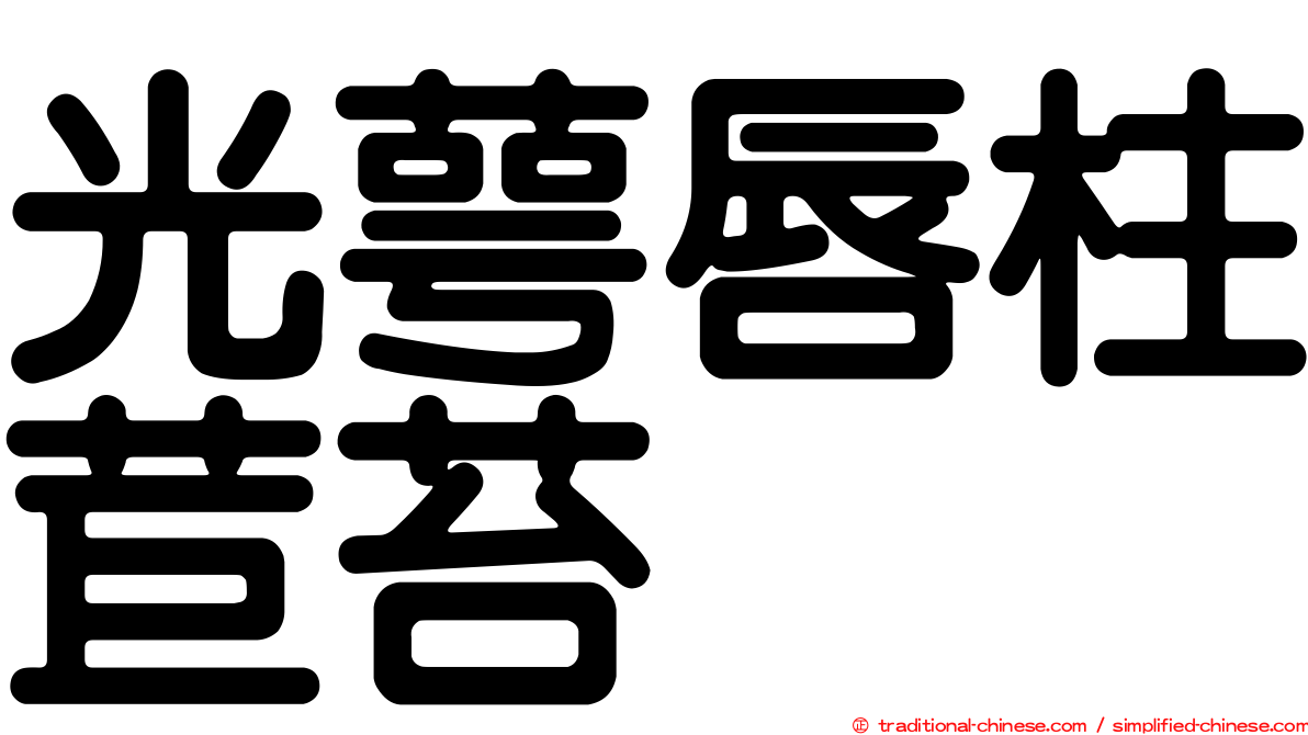 光萼唇柱苣苔