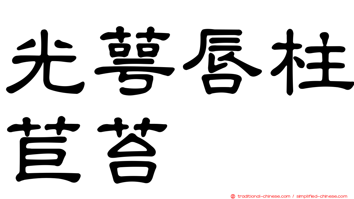 光萼唇柱苣苔