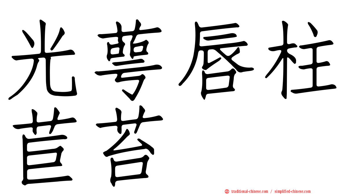 光萼唇柱苣苔