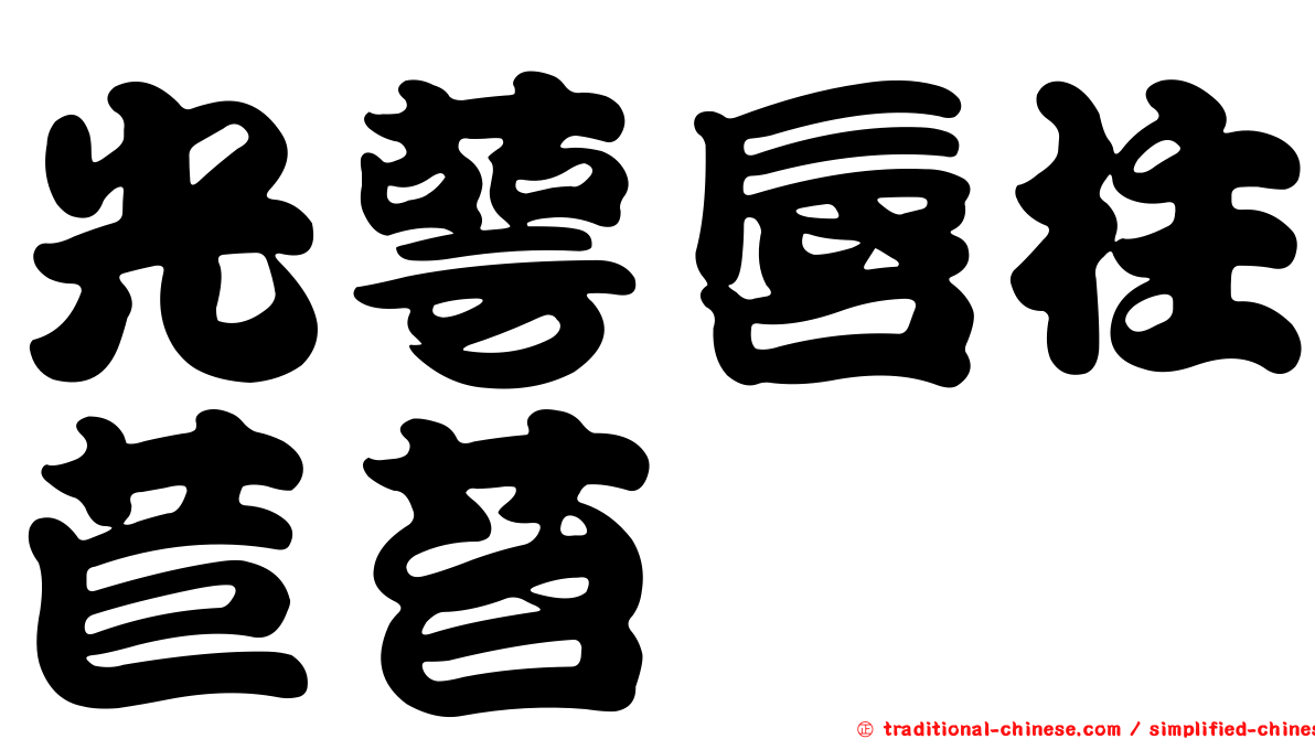 光萼唇柱苣苔