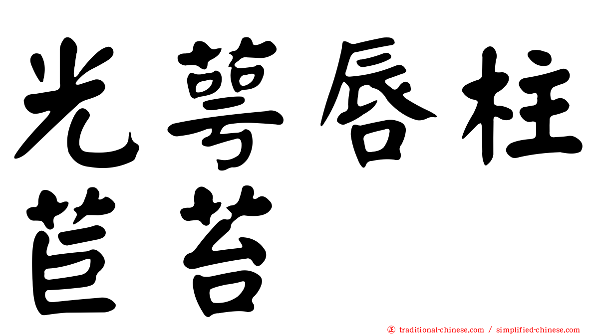 光萼唇柱苣苔