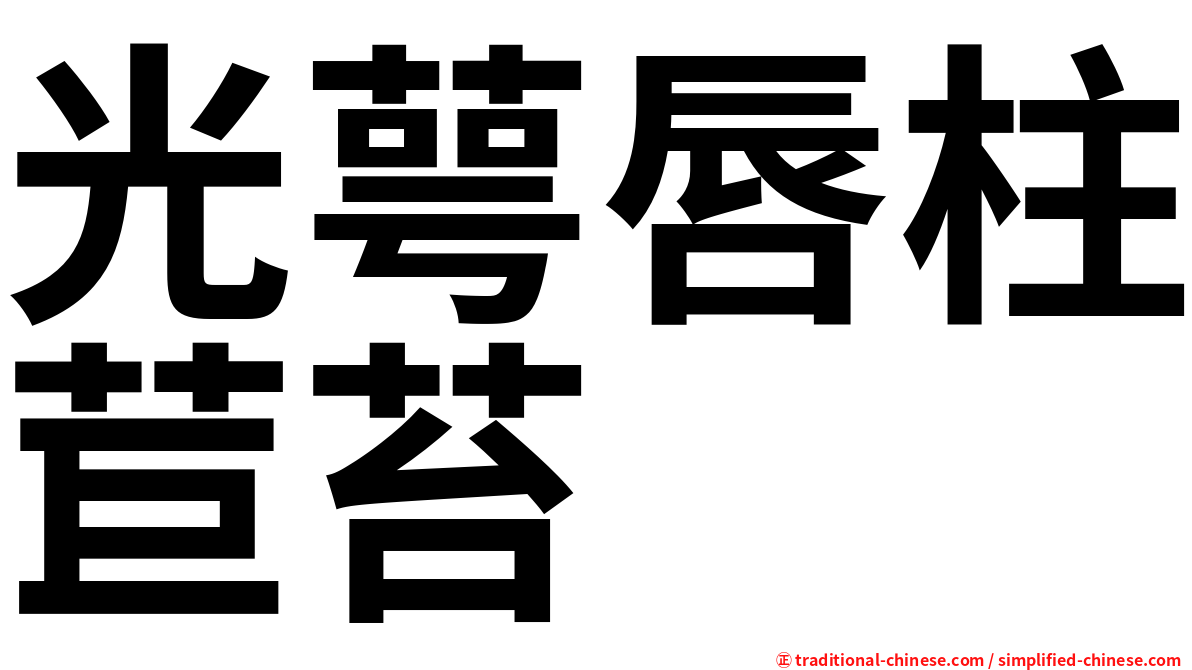 光萼唇柱苣苔