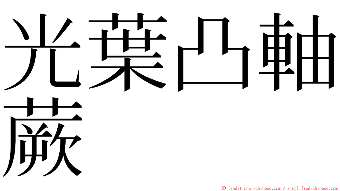 光葉凸軸蕨 ming font