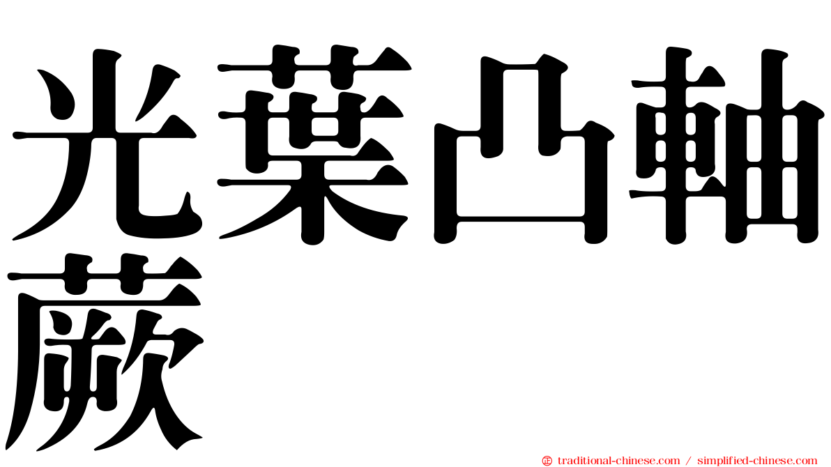 光葉凸軸蕨