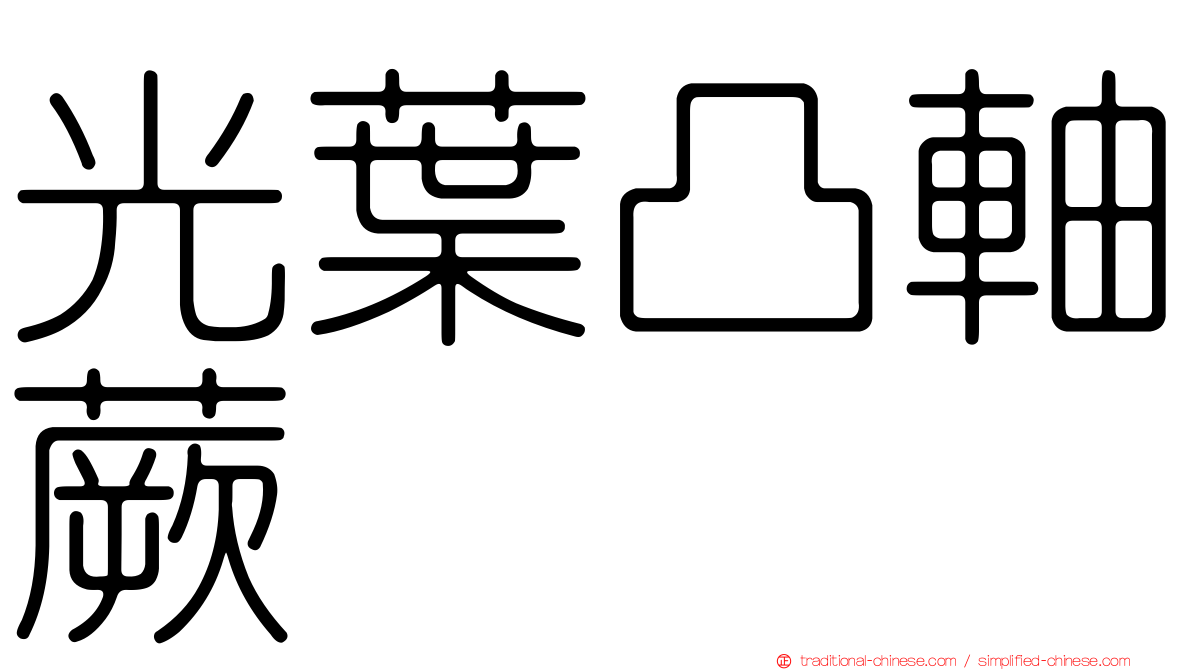 光葉凸軸蕨