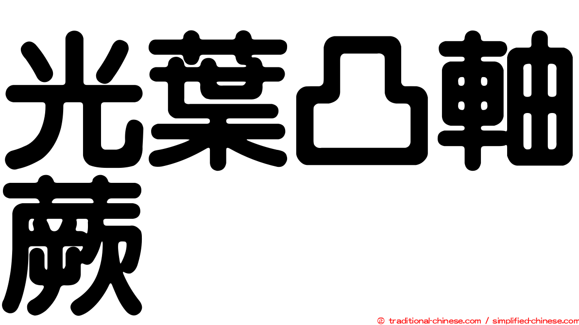 光葉凸軸蕨