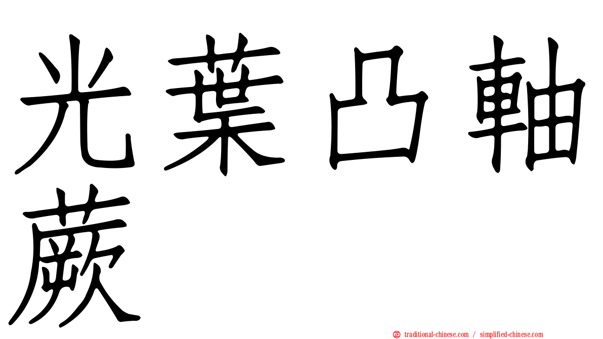 光葉凸軸蕨