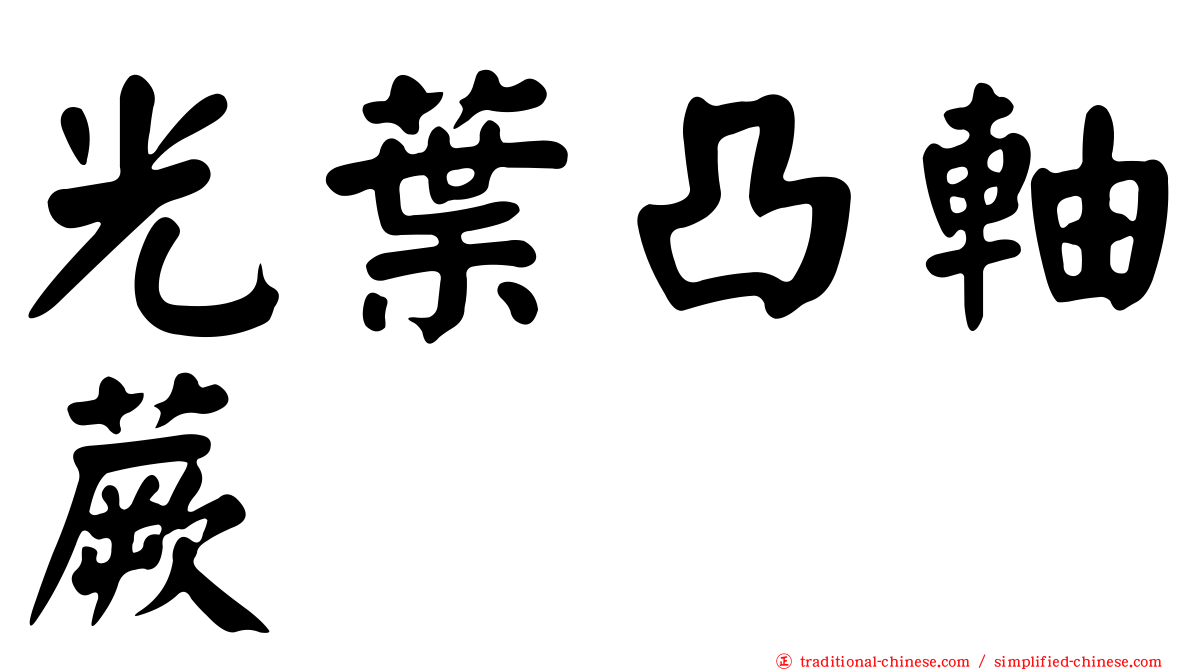 光葉凸軸蕨