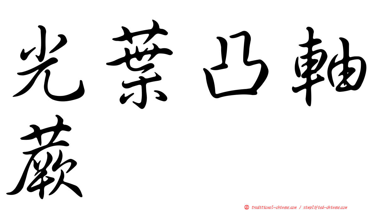 光葉凸軸蕨