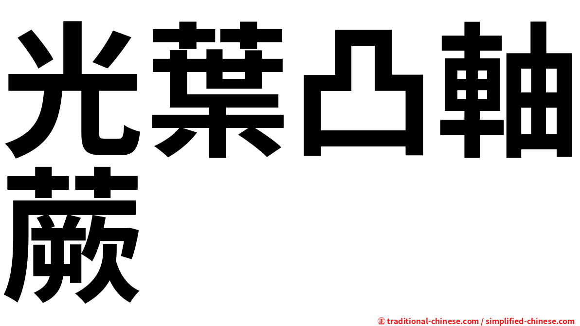 光葉凸軸蕨