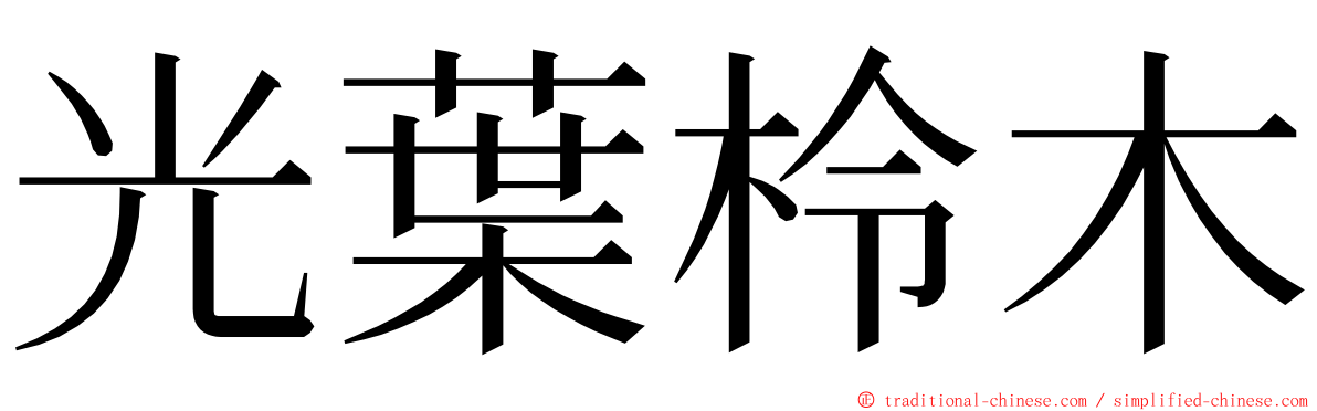 光葉柃木 ming font